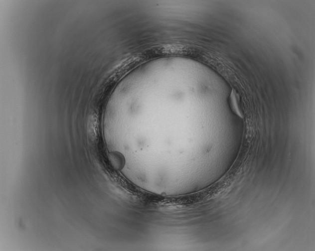 X0000111510648200908041223