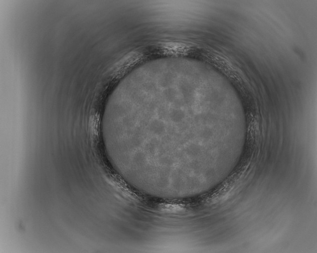 X0000111510649200908041223