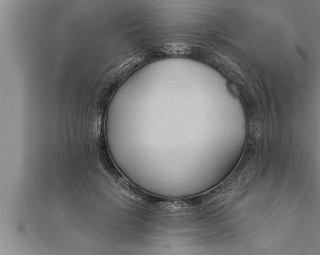 X0000111510652200908041224