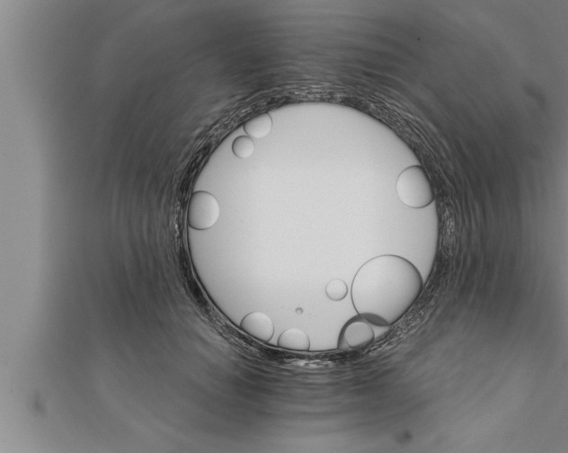 X0000111510654200908041224