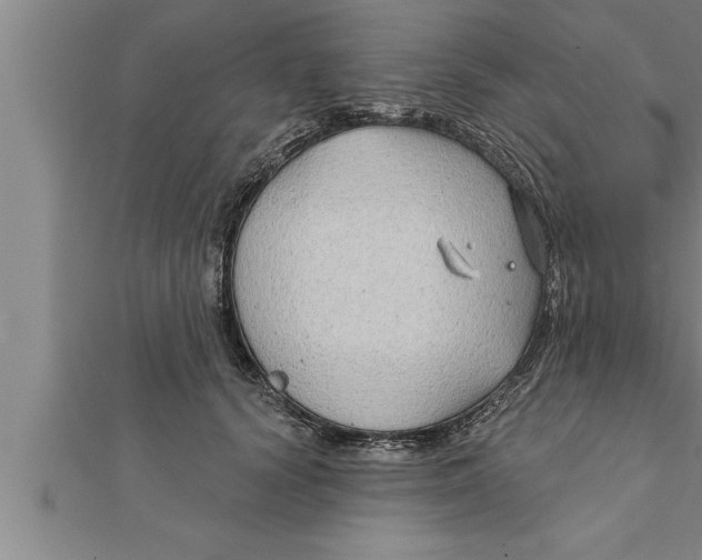 X0000111510656200908041224