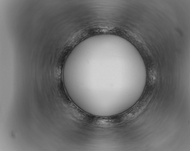 X0000111510657200908041224