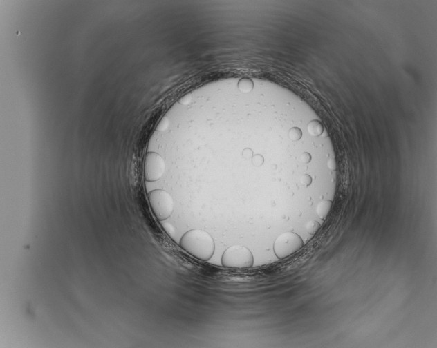 X0000111510658200908041224