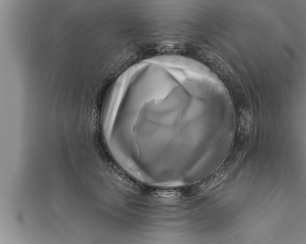 X0000111510659200908041224