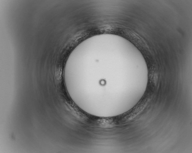 X0000111510660200908041224