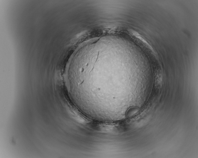 X0000111510661200908041224