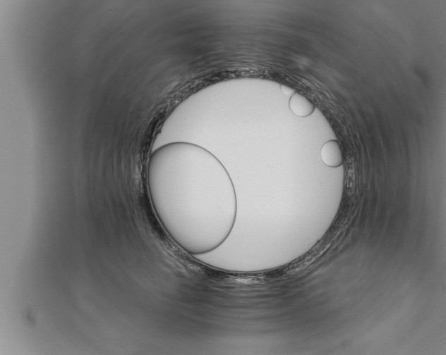 X0000111510662200908041224