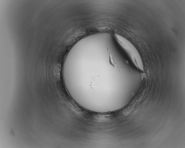 X0000111510664200908041224