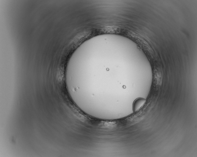 X0000111510665200908041224