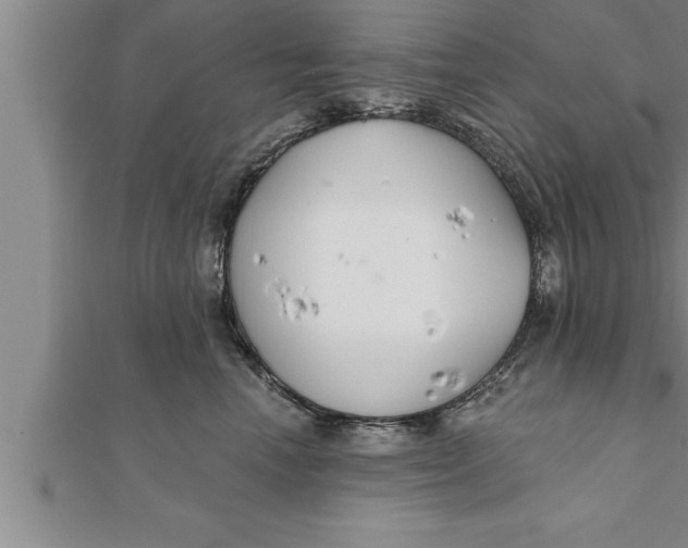 X0000111510666200908041224