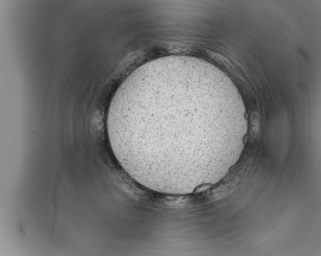 X0000111510667200908041224