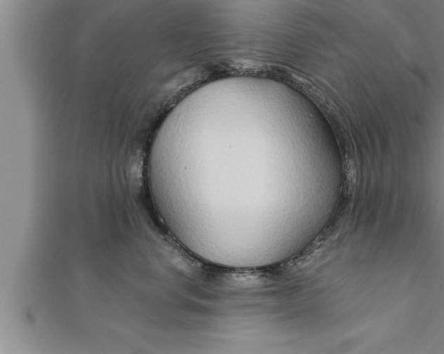 X0000111510668200908041224