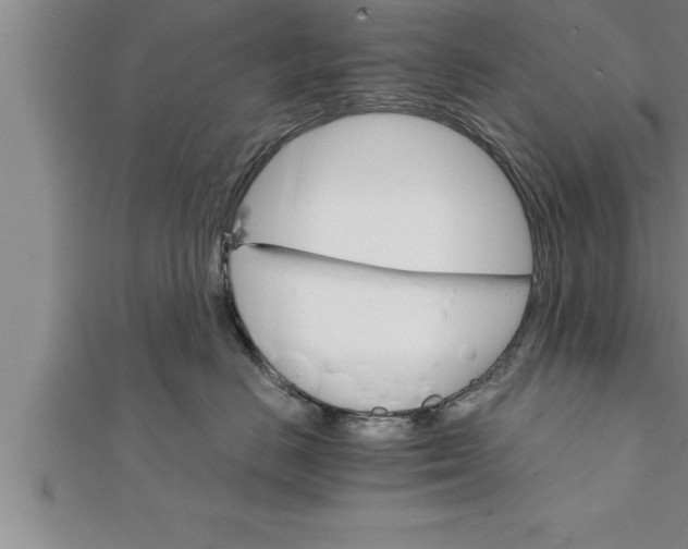 X0000111510670200908041224