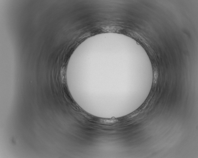 X0000111510671200908041224