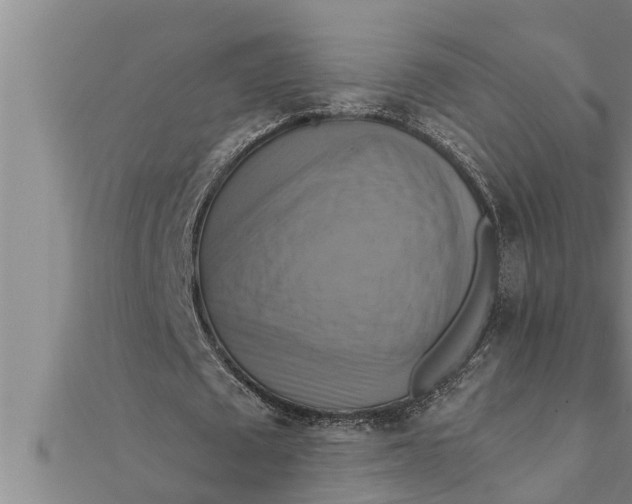 X0000111510673200908041223