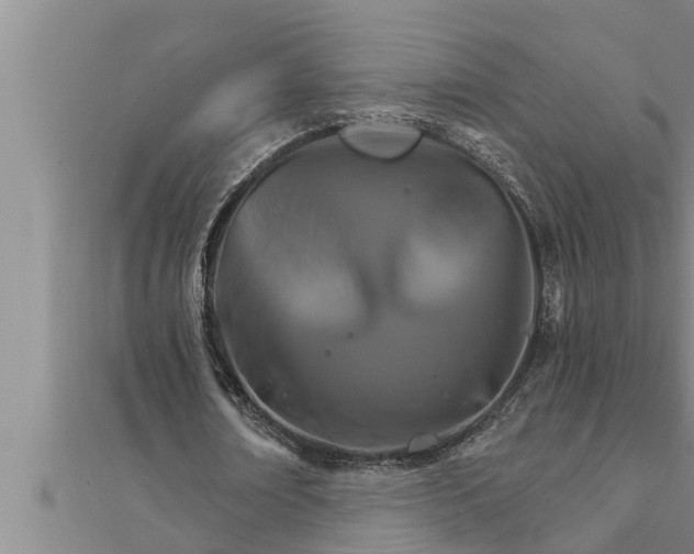 X0000111510674200908041223