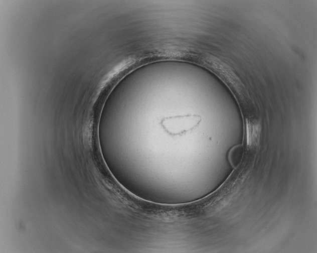 X0000111510675200908041223