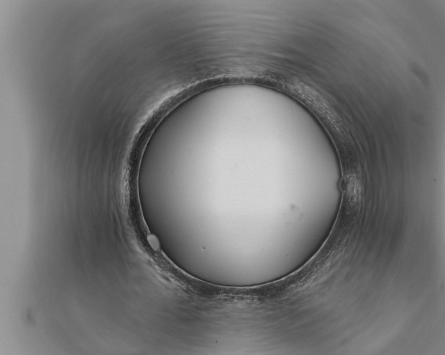 X0000111510676200908041223