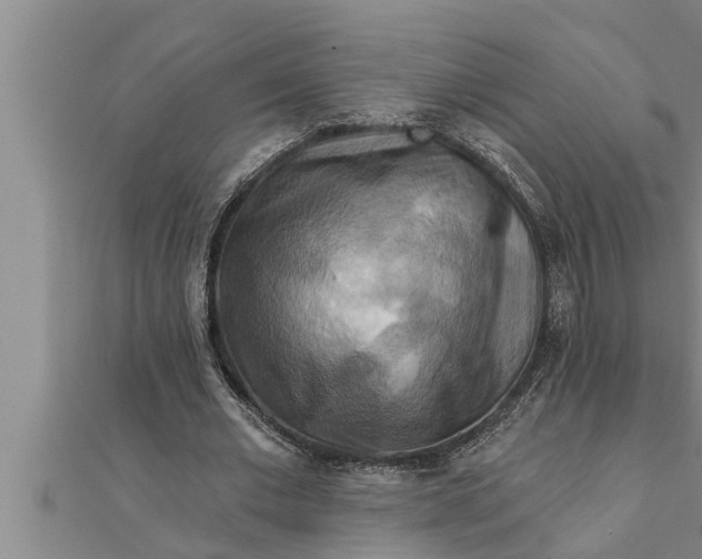 X0000111510677200908041223