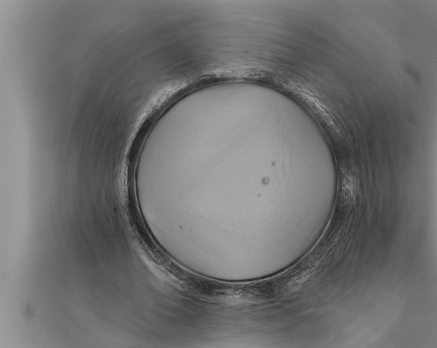 X0000111510678200908041223