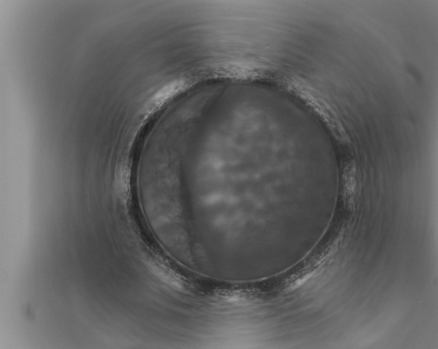 X0000111510679200908041223