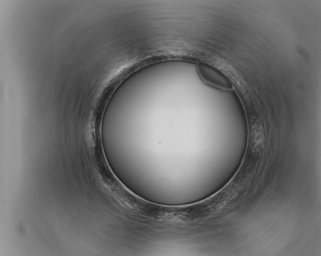 X0000111510680200908041223