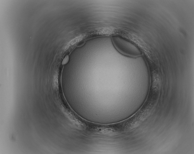 X0000111510681200908041223