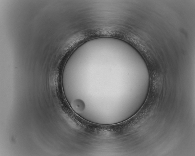 X0000111510683200908041223