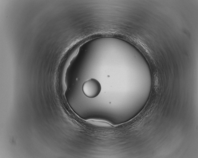 X0000111510684200908041223