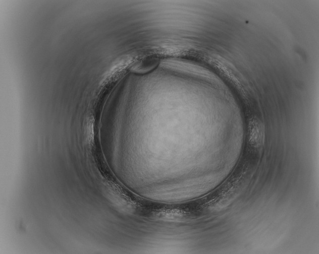 X0000111510685200908041223