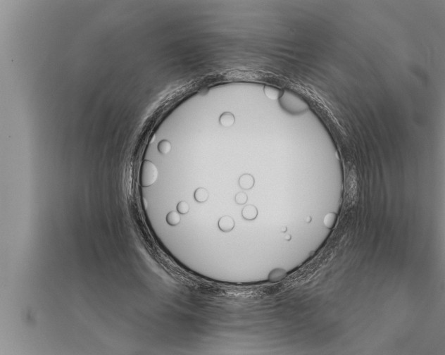 X0000111510686200908041223