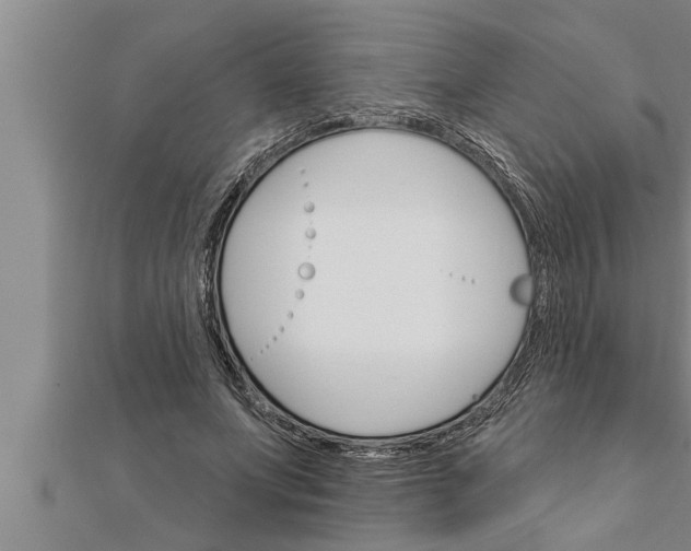 X0000111510687200908041223