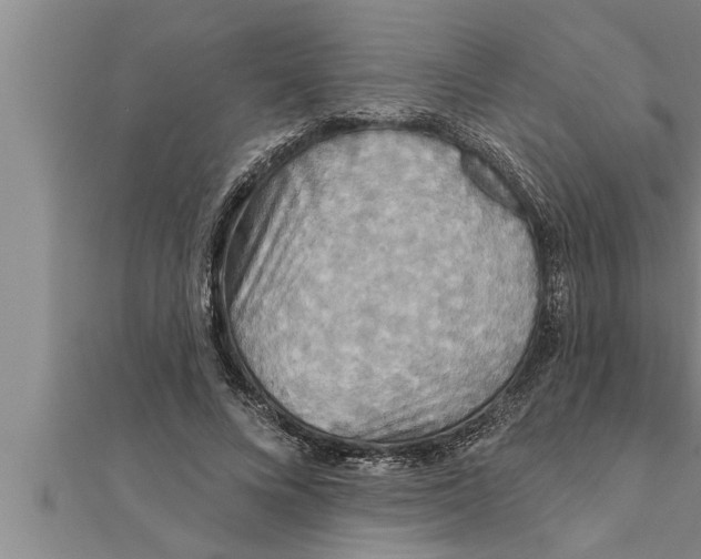 X0000111510688200908041223