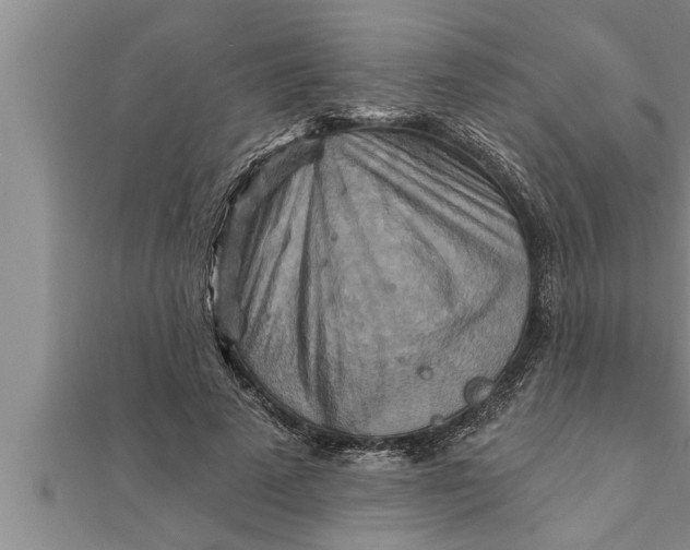 X0000111510689200908041223