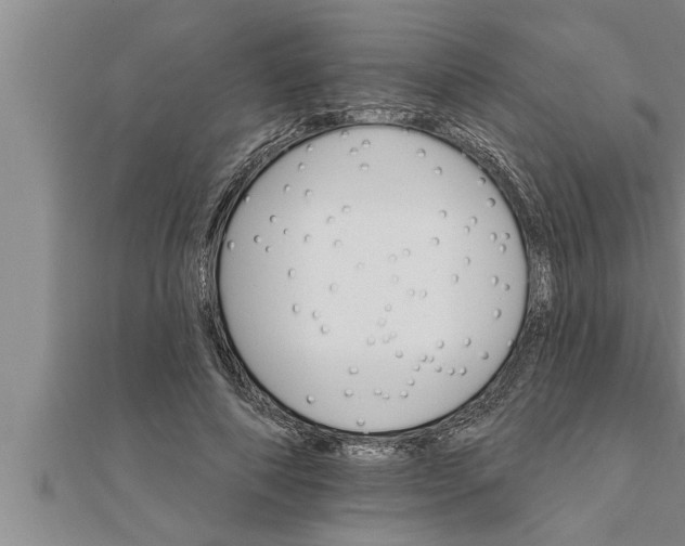 X0000111510690200908041223