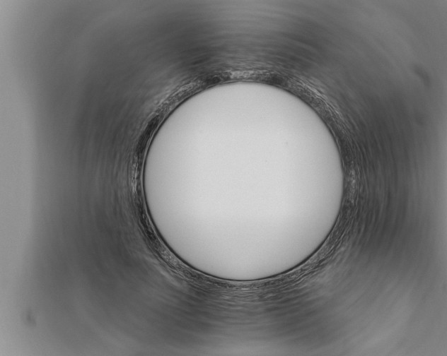 X0000111510691200908041223