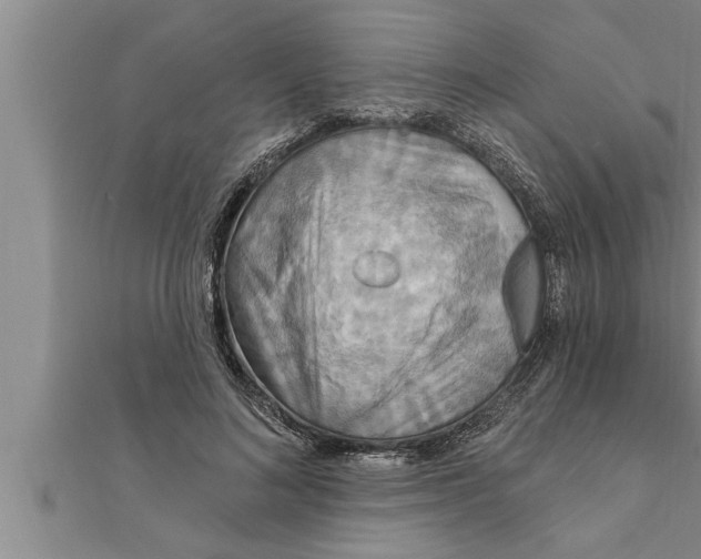 X0000111510692200908041223