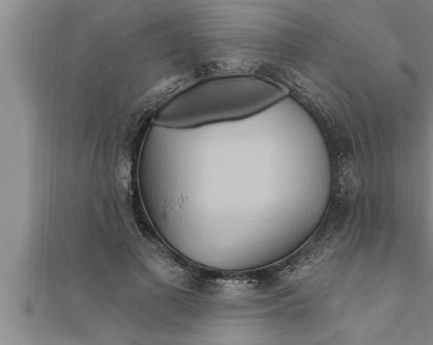 X0000111510693200908041223