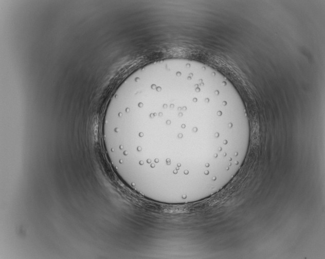 X0000111510694200908041223