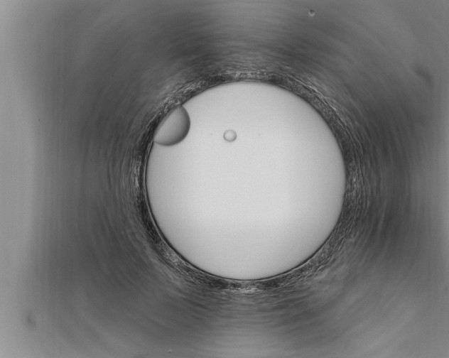 X0000111510695200908041223