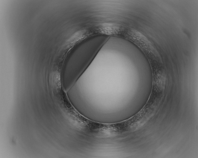 X0000111510696200908041223