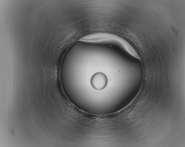 X0000111510697200908041223