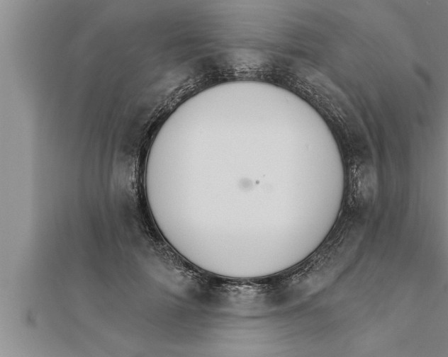 X0000111510698200908041223