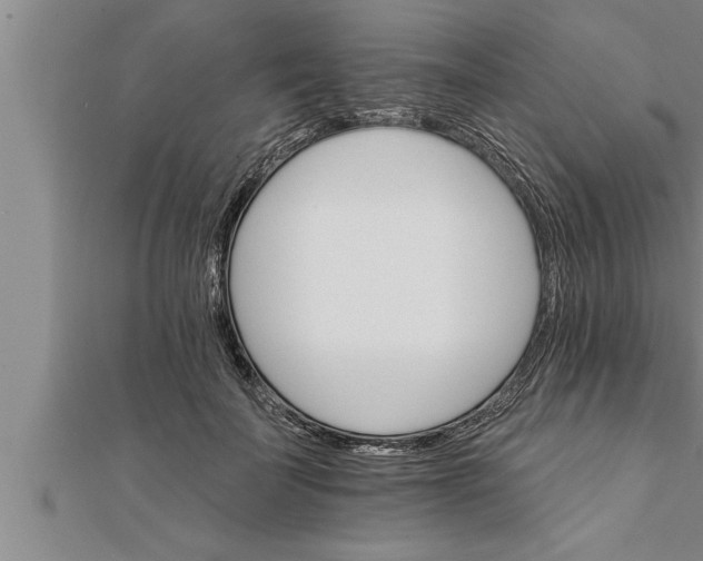 X0000111510699200908041223