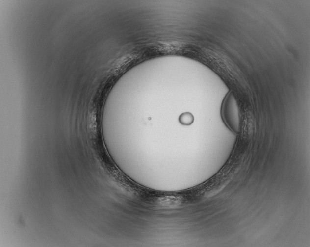 X0000111510700200908041223