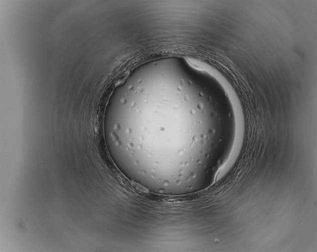 X0000111510701200908041223