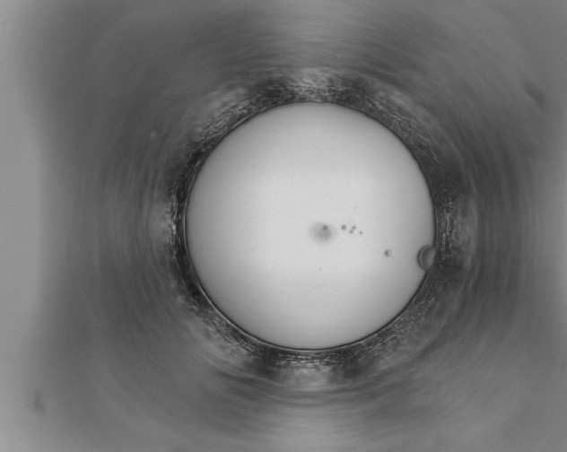 X0000111510702200908041223