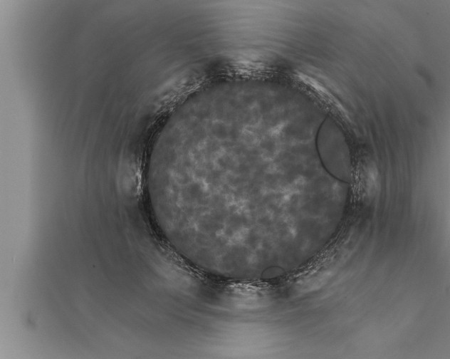 X0000111510703200908041223