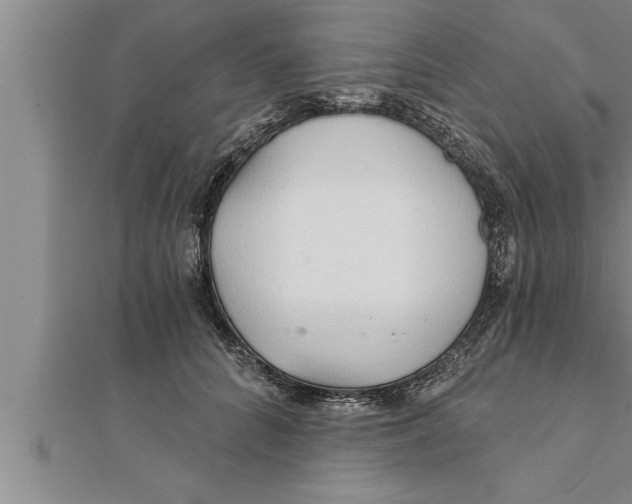 X0000111510704200908041223