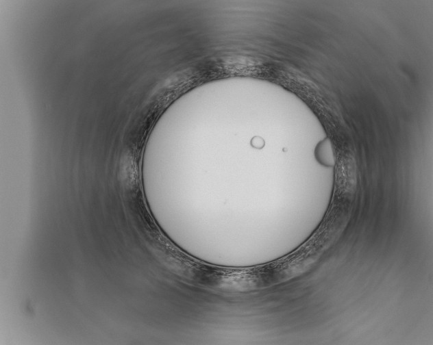 X0000111510705200908041223